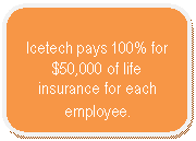 Rounded Rectangle: Icetech pays 100% for $50,000 of life insurance for each employee.  
