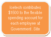 Rounded Rectangle: Icetech contributes $1500 to the flexible spending account for each employee at Government .Site