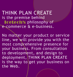 Think | Plan | Create - E-commerce, Database & Web-Enabled Solutions - Custom web site design, multimedia, flash development